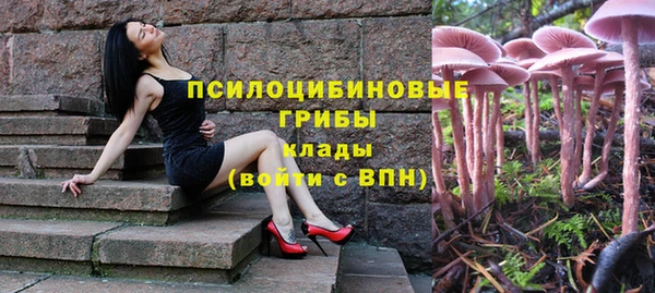 амф Богородицк